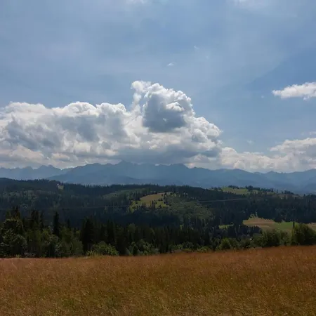 Lejlighedshotel Dom Wysoki Bukowina Tatrzańska